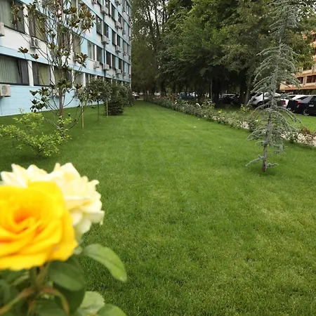 Delfin 3* מאמאיה