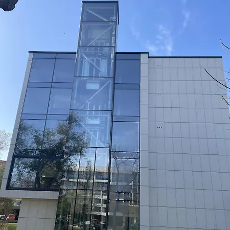 Delfin מאמאיה